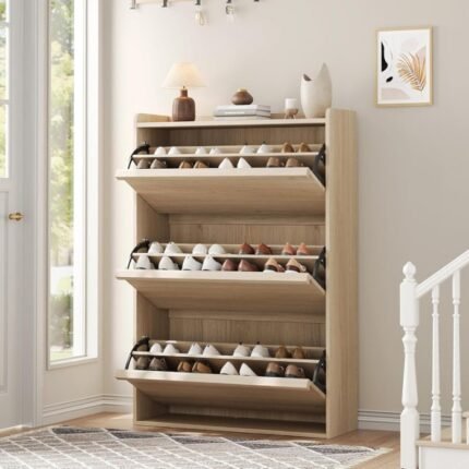 Aybri Shoe rack