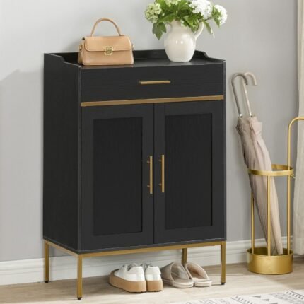 Ajyno Shoe rack
